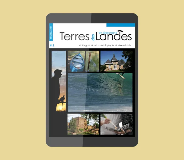 Territorial Digital Magazine