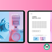 Brochure interactive appareils photo