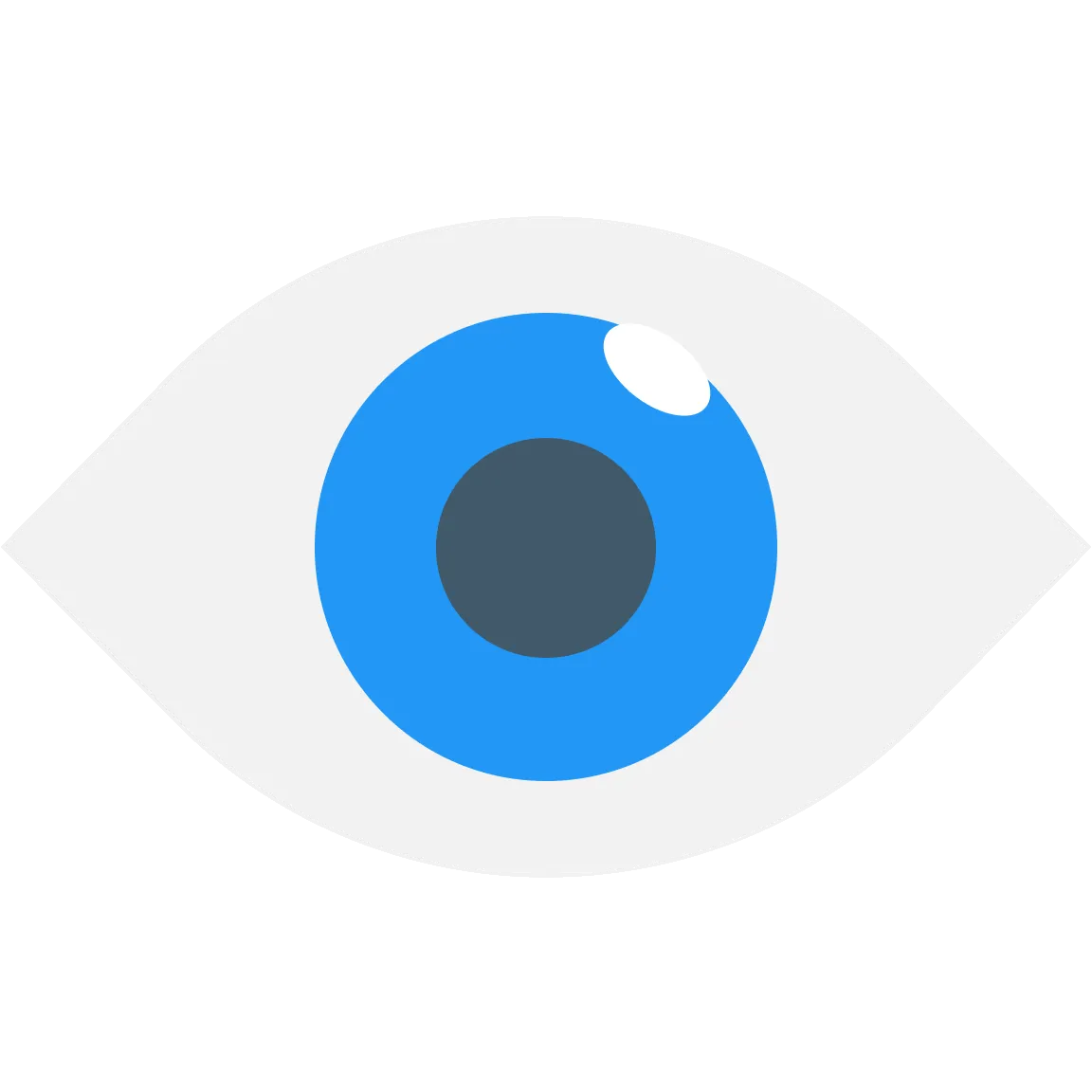 Icon of an eye