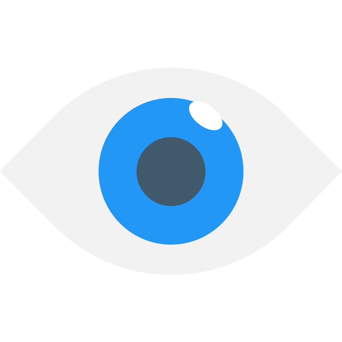 Icon of an eye